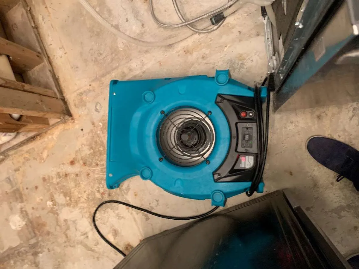 Air mover drying equipment for Mold Remediation & Removal in Tifton